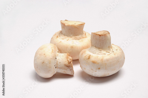 Mushrooms, Close Up on white background