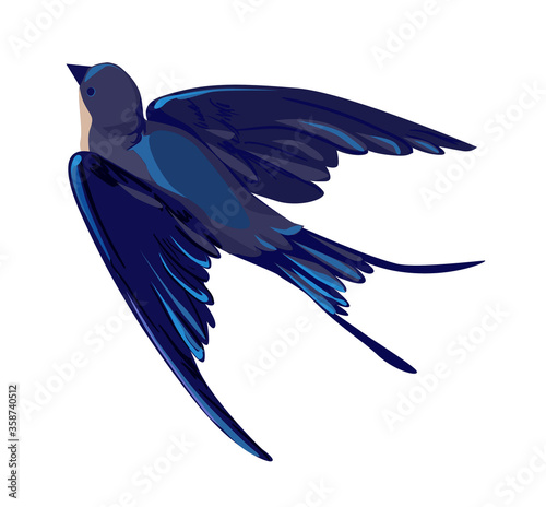 Swallow vector, vector illustration isolated bird, bird flying, bird silhouette, bird vector.