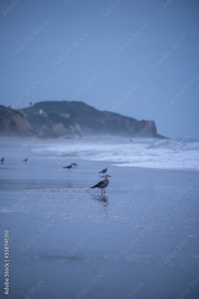 Fototapeta premium Malibu-landscape-beach-yoga-nature