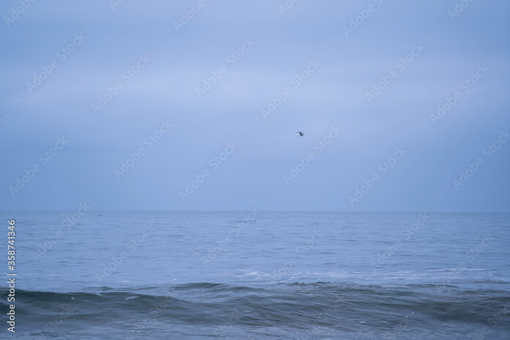 Malibu-landscape-beach-yoga-nature