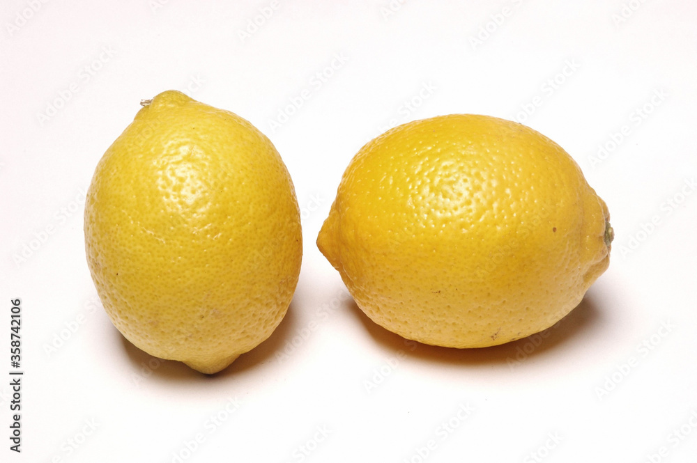 Two Lemons, Close Up on white background . Two Lemons, Close Up on white background .