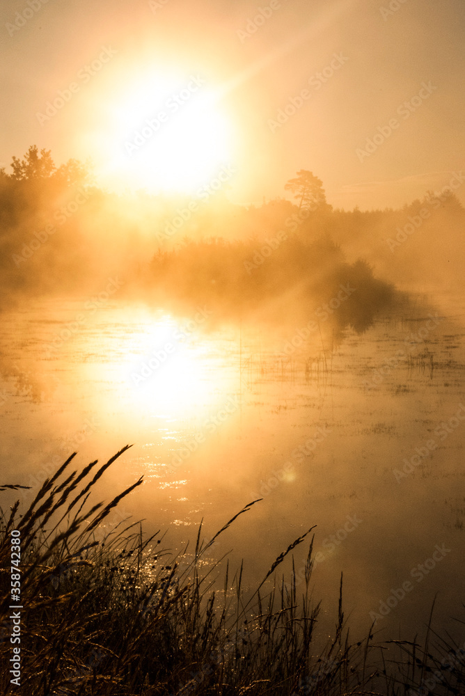 Beautiful golden foggy polish lake with small island, forest in the background on a sunny sunset / sunrise Beautiful golden foggy polish lake with small island, forest in the background on a sunny sunset / sunrise