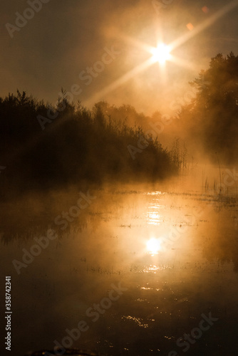 Beautiful golden foggy polish lake with small island, forest in the background on a sunny sunset / sunrise