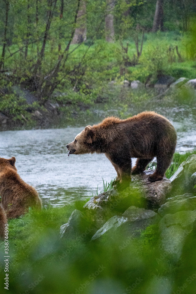 Zoo-Germany Zoo-Germany
