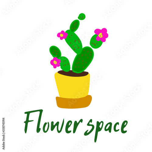 cactus Opuntia banner logo poster.houseplant banner. floriculture cactus space.beautiful cactus, white flowering succulent cactus background.cute cactus cozy web houseplant floral banner