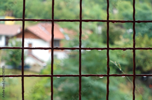 Green blurry landscape looked through red metal greed fence with few raindrops. Beautiful romantic scene. Steel net background.