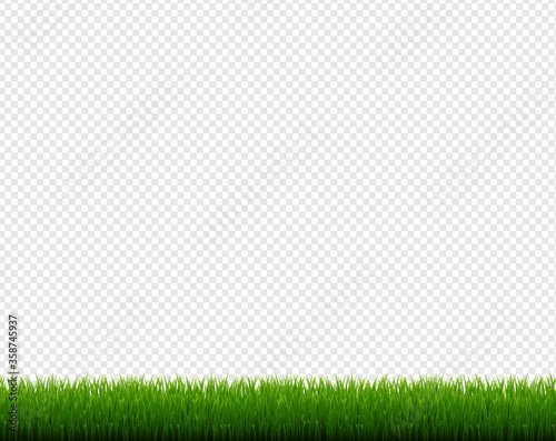 Green Grass Frame Isolated Transparent Background