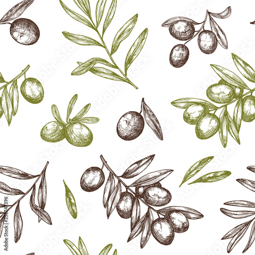 Hand drawn vector seamless pattern with ink olive tree twigs. Vector olive background.
