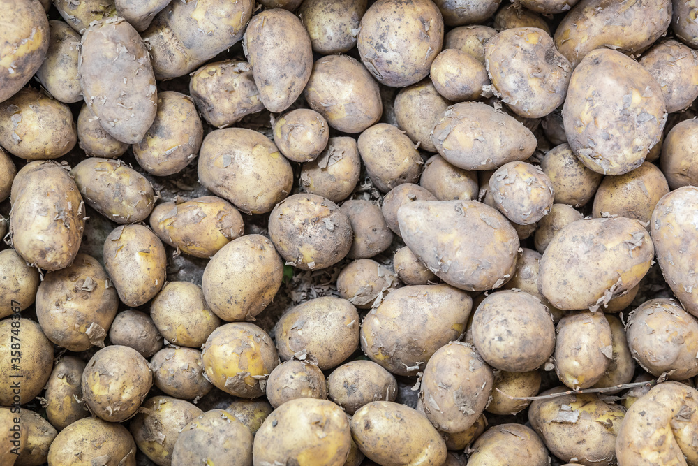New potatoes seen from above, for sale on a market New potatoes seen from above, for sale on a market