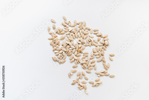 melon seeds on white background 