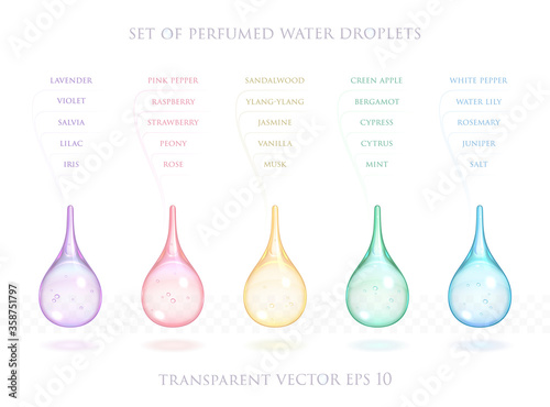 Collection of perfumed water drops. Set of vector 3d transparent droplets for promo of perfumery and cosmetic. Infographic about Lavender, Raspberry, Rose, Vanilla, Rosemary, Mint and other perfumes.