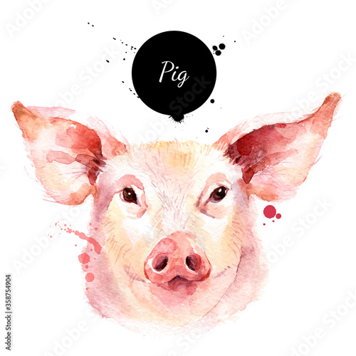 Watercolor hand drawn pig head illustration. Vector painted sketch isolated on white background