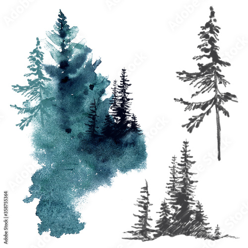 Wtarcolor trees and forest illustration.