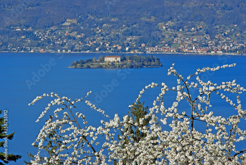 Isola Madre - Lago Maggiore - Stresa - fioriture photo