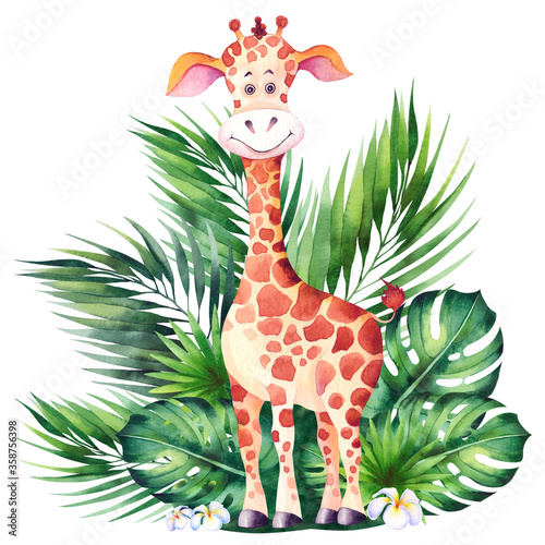 Photography Little cartoon giraffe and green tropical leaves.