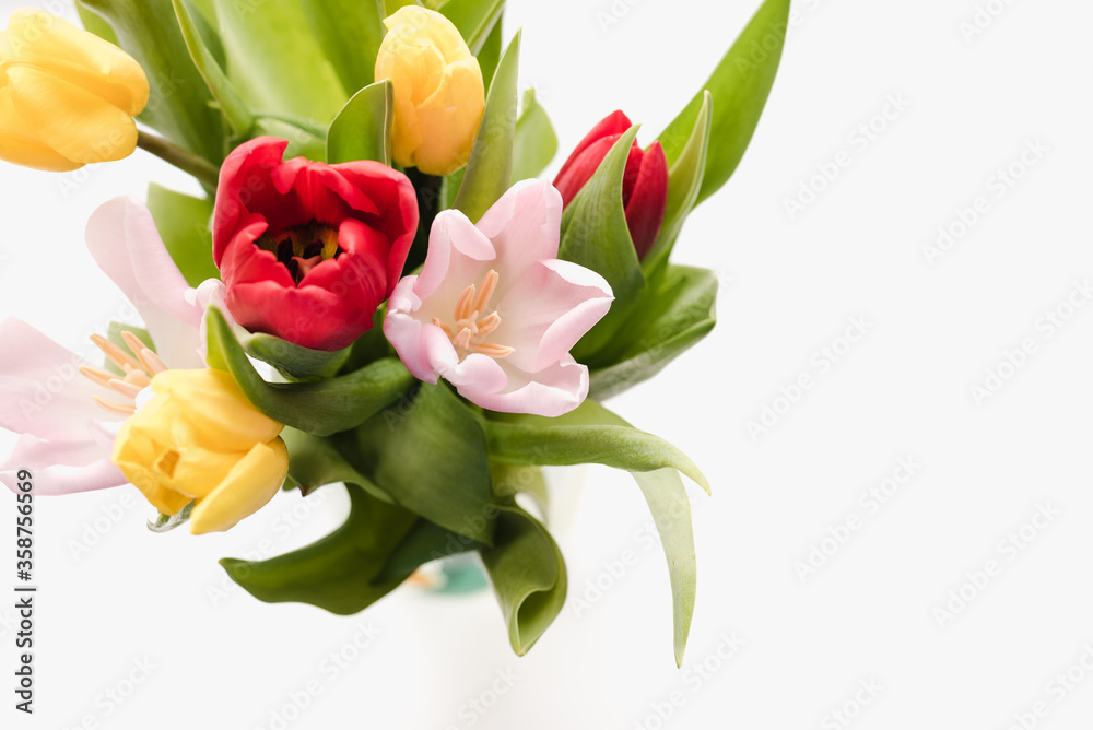 multi-colored tulips on a white background, spring flowers, flowers for march 8, background with flowers multi-colored tulips on a white background, spring flowers, flowers for march 8, background with flowers
