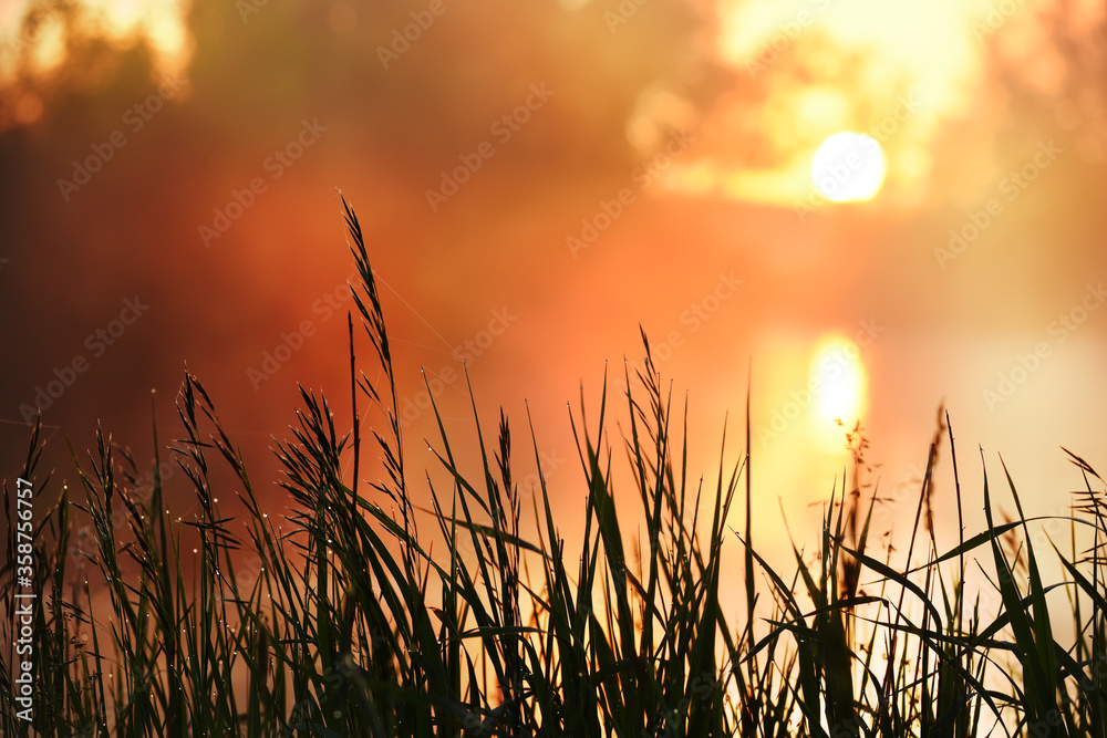 Dawn on the lake. The sun in the fog above the water and grass on the shore.
Dawn on the lake. The sun in the fog above the water and grass on the shore.