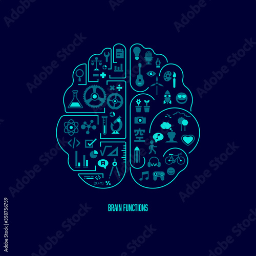 Brain Functions