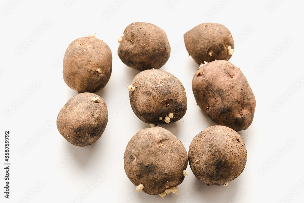 potato on a white background, potato, potato close-up potato on a white background, potato, potato close-up
