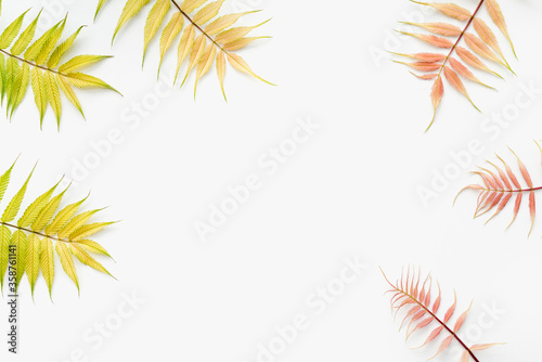 colorful leaves on a white background  white background with leaves  colored leaves