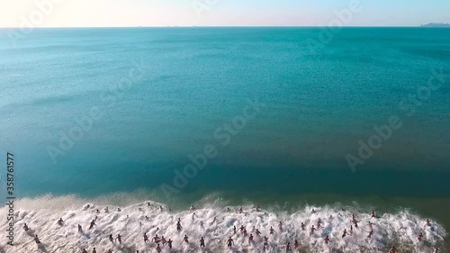 More than two hundred people at the same time dive into the sea. People rejoice that quarantine related to the COVID-19 pandemic has been completed and beaches are open. Aerial view