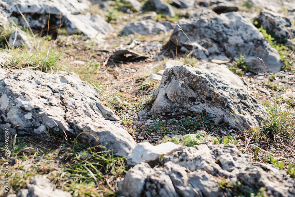 rocks in the forest, small stones rocks in the forest, small stones