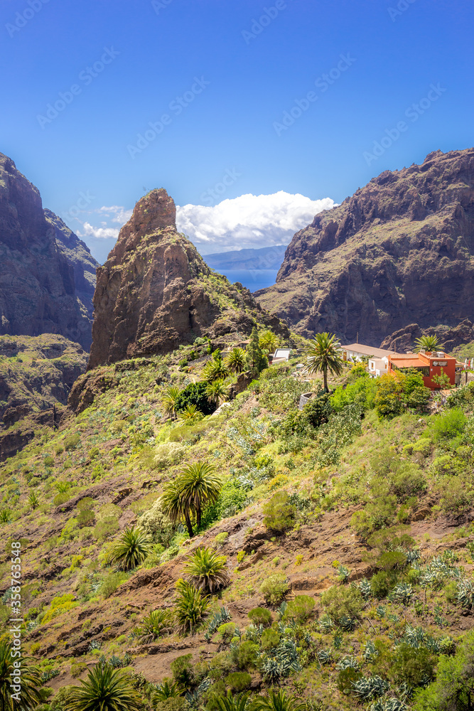 Green valley, Masca Village, Tenerife, Canary islands, Spain