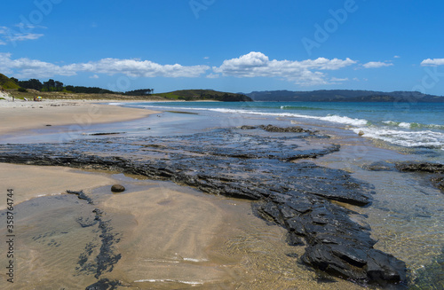 Panoramic View of Tawharanui Beach and Regional Park, Auckland New Zealand; White Sandy Beach during Low Tide