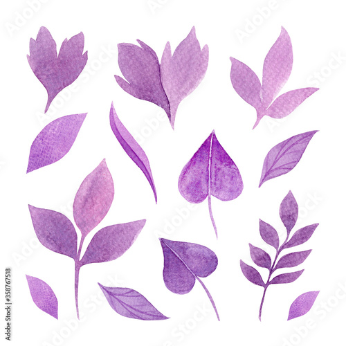 Watercolor set with violet flowers and leaves on white background isolated. Nice botanical watercolor elements for your spring and summer design.