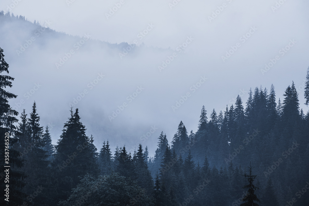 Misty mountain landscape