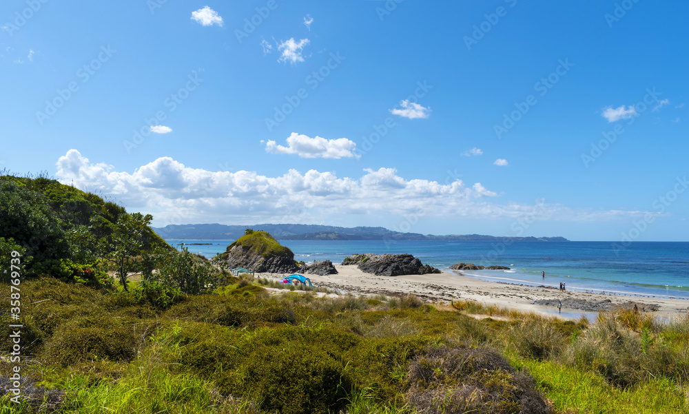 Fototapeta premium Panoramic View of Tawharanui Beach and Regional Park, Auckland New Zealand; White Sandy Beach during Low Tide