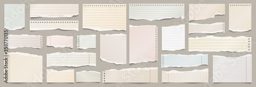 Colored ripped lined paper strips collection. Realistic paper scraps with torn edges. Sticky notes, shreds of notebook pages. Vector illustration.