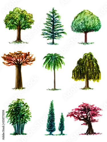 9 types of trees by felt-tip pen