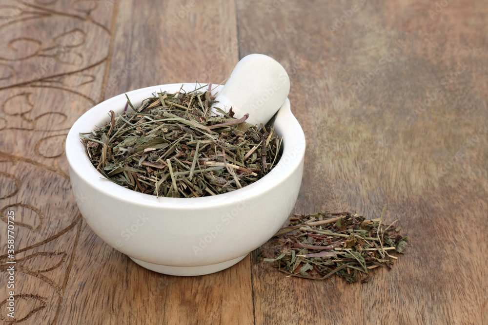 Fototapeta premium Speedwell herb in a mortar with pestle used in herbal medicine as a diuretic, an expectorant, is anti inflammatory & can be used as a cough remedy, on rustic wood background. Veronica officinalis.