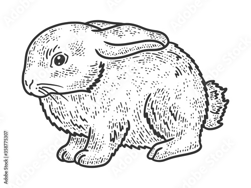 little rabbit sketch engraving vector illustration. T-shirt apparel print design. Scratch board imitation. Black and white hand drawn image.
