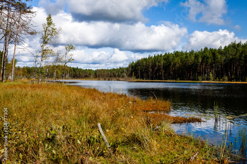 Lake Laho during sunny day. Grassy shore and forest on the other side. Cloudy sky. Mooste, Estonia, Europe.