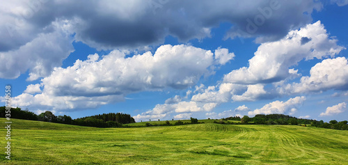 Summer Grass Field Landscape with white clouds in the background.
