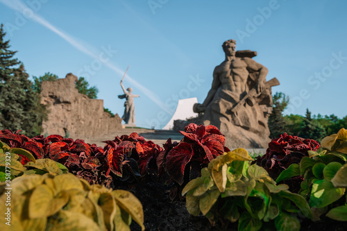 Beautiful panorama of Mamayev Kurgan in the city of Volgograd, photographed from under the blooming garden of flowers
