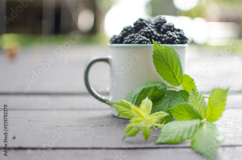 raspberry Shrub 1-2 m tall with annual vegetative shoots and woody biennial