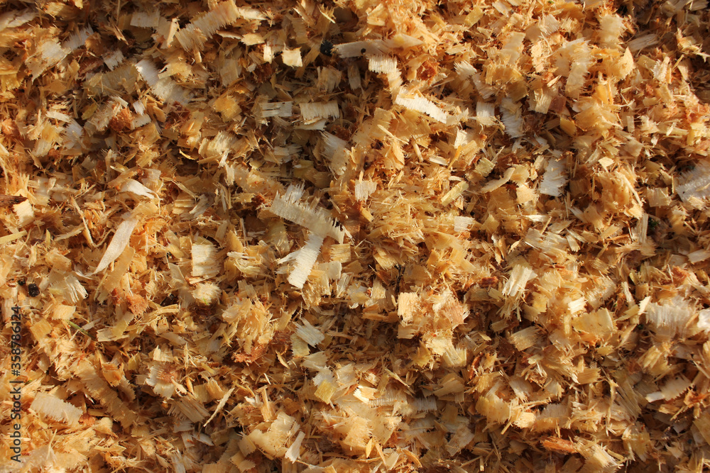 Texture of freshly sawn wood shavings. Close-up, natural background
Texture of freshly sawn wood shavings. Close-up, natural background