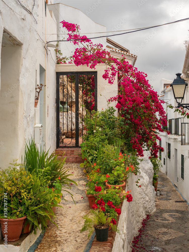 Frigliana costa Del Sol Spain  close up view of the narrow streets flora with potted plants