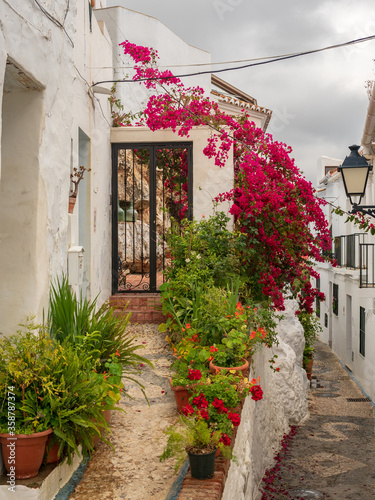 Frigliana costa Del Sol Spain close up view of the narrow streets flora with potted plants
