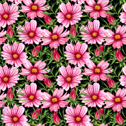 Watercolor wild flowers illustration. Hand Drawn seamless pattern with cosmos flowers and leaves.