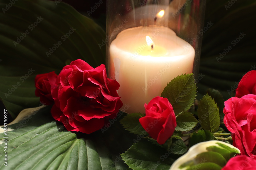 candle surrounded by roses candle surrounded by roses