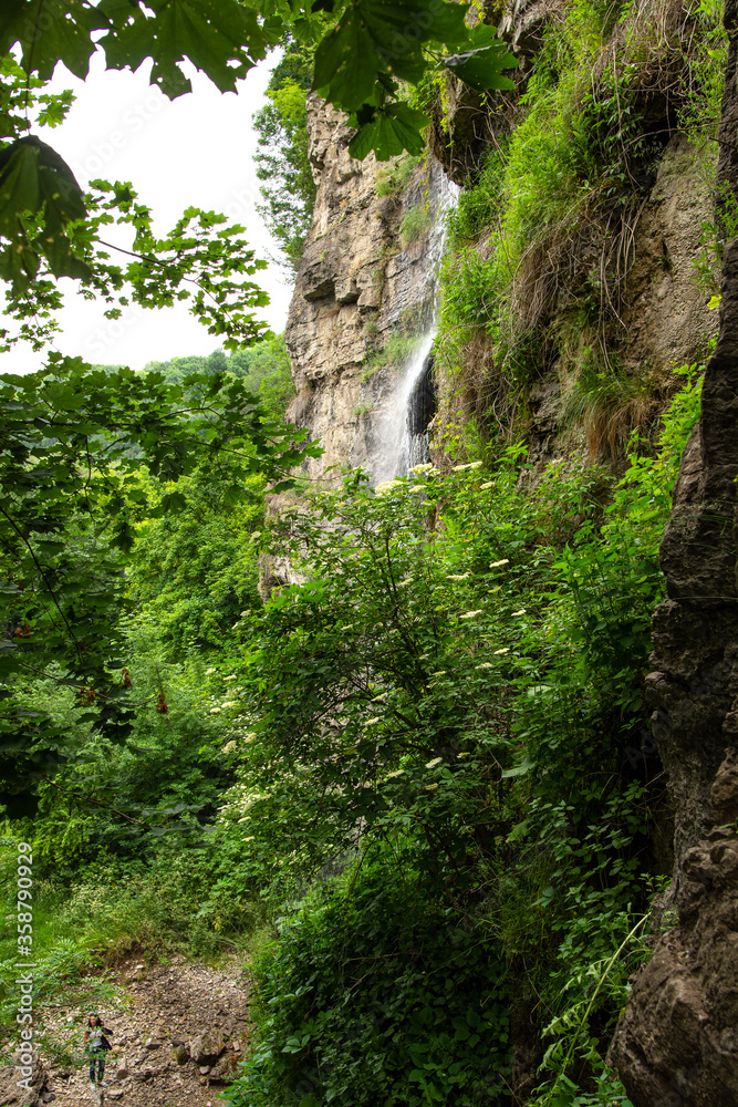 Small waterfall in the forest Small waterfall in the forest