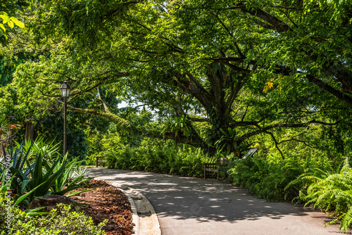 Singapore Botanic Gardens photo