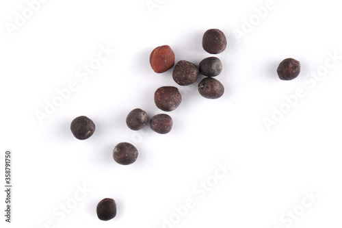 Canvastavla Upper view of shooting placers of rapeseed grains lying on a white background