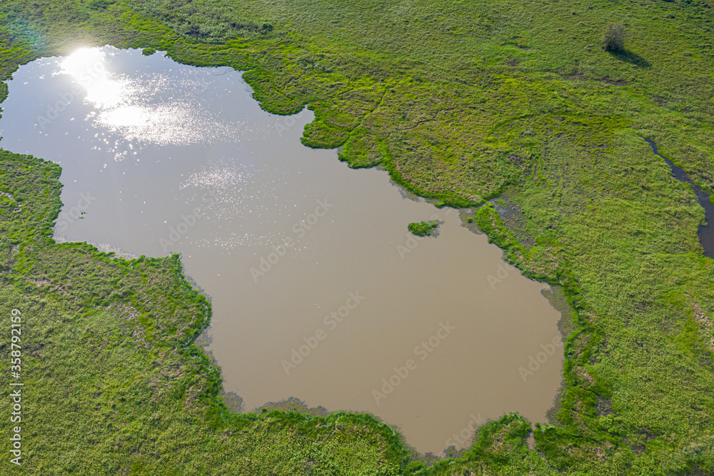 Aerial view of Swamp with green field, Pantanal Brazil Aerial view of Swamp with green field, Pantanal Brazil