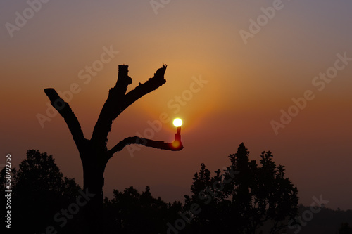 silhouette of a man