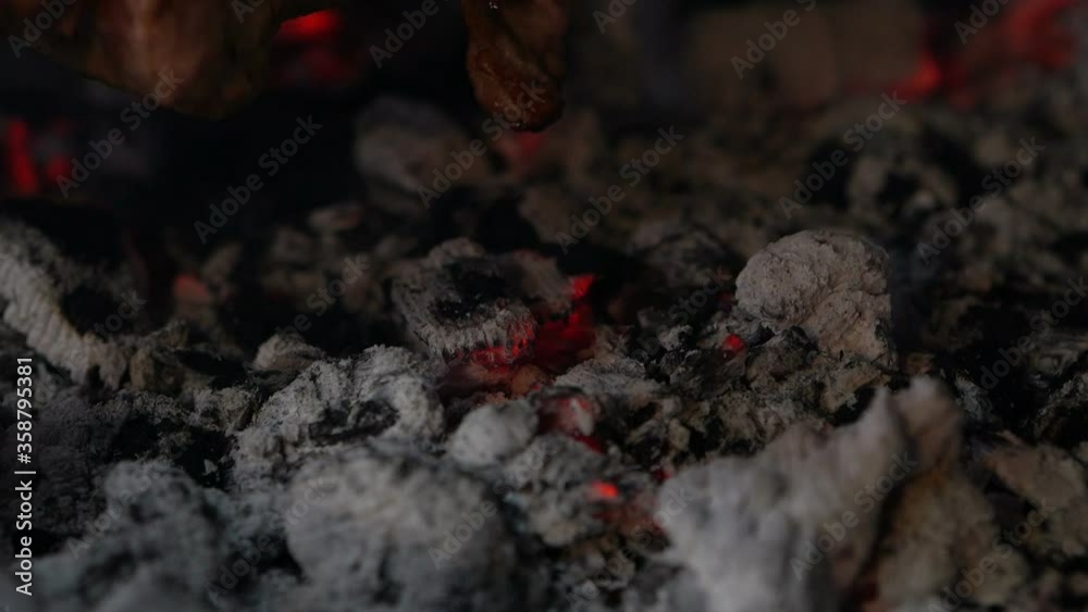 Tasty grilled food. Pork meat prepared on fire. Street food. Barbecue party. Tasty grilled food. Pork meat prepared on fire. Street food. Barbecue party.